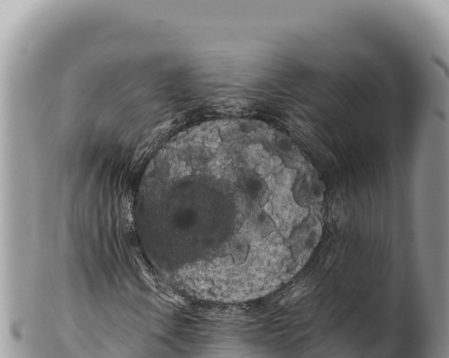 X0000100221106200806201501