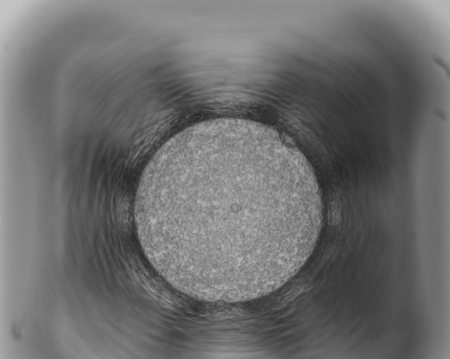 X0000100221108200806201501