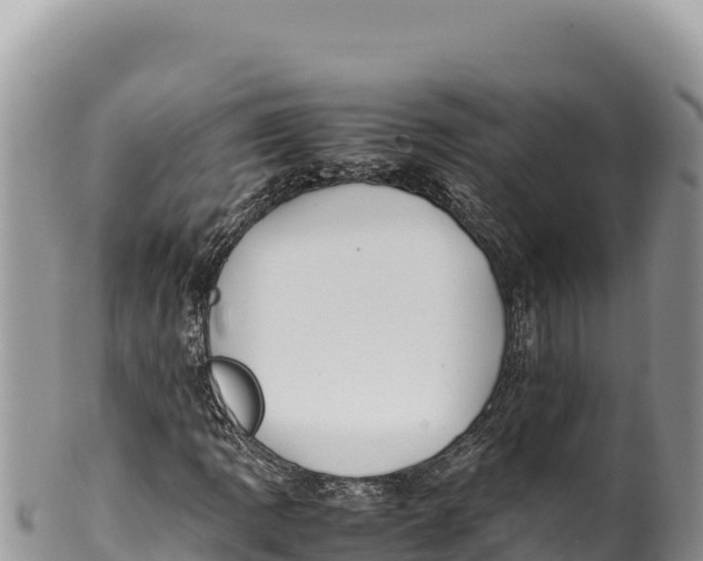 X0000100221109200806201501