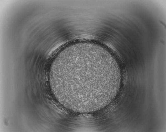 X0000100221112200806201501