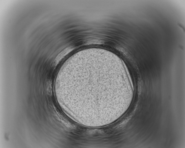 X0000100221113200806201501