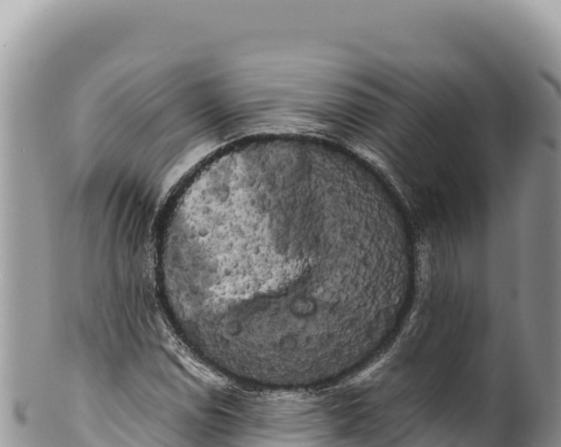 X0000100221114200806201501