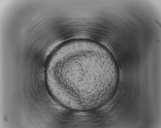 X0000100221115200806201501