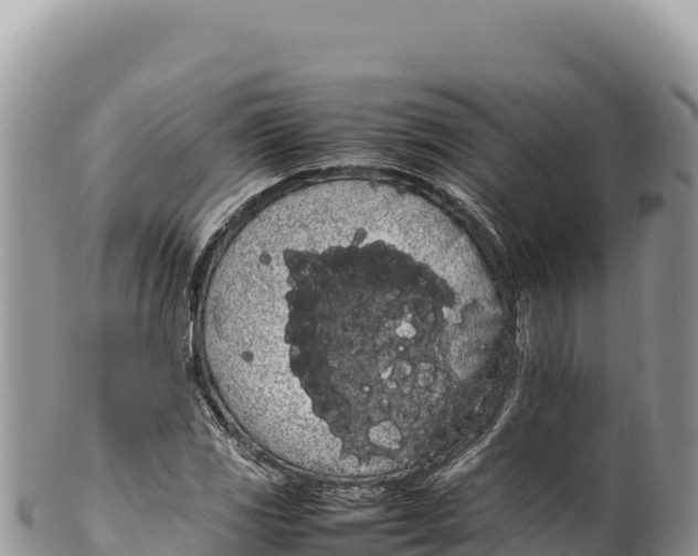 X0000100221117200806201501