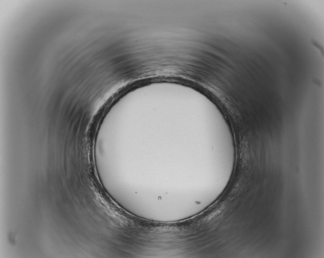 X0000100221118200806201501