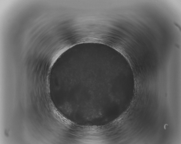 X0000100221120200806201501