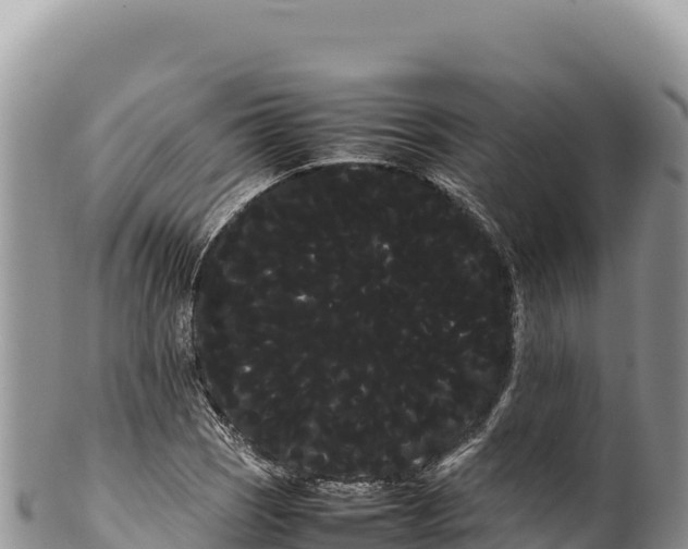 X0000100221121200806201501