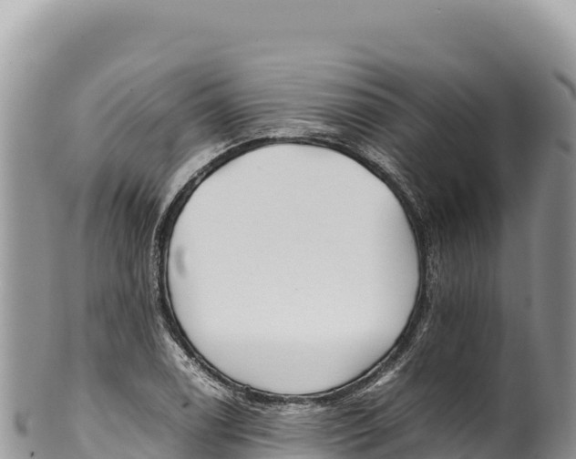 X0000100221122200806201501