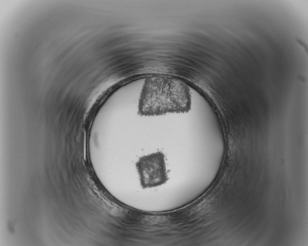 X0000100221123200806201501