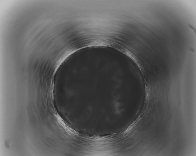 X0000100221124200806201501