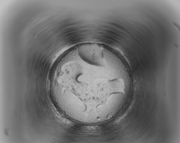 X0000100221125200806201501