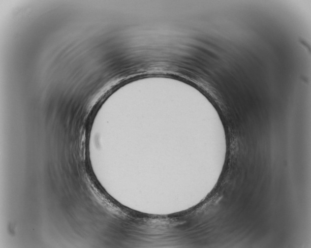 X0000100221126200806201501