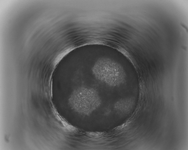 X0000100221127200806201501