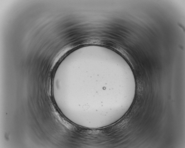 X0000100221131200806201501