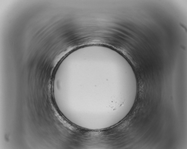 X0000100221134200806201501