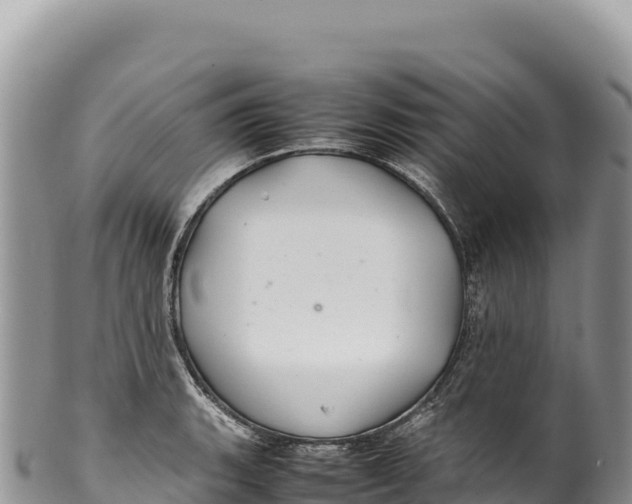 X0000100221135200806201501