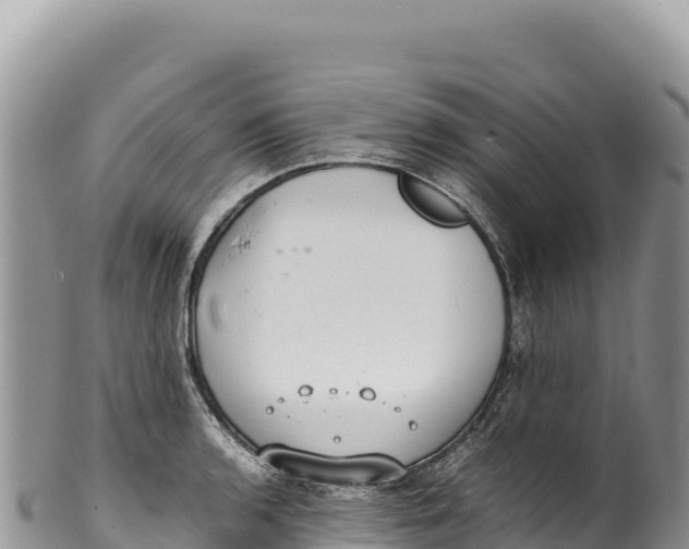 X0000100221136200806201501