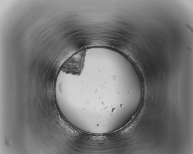 X0000100221137200806201502