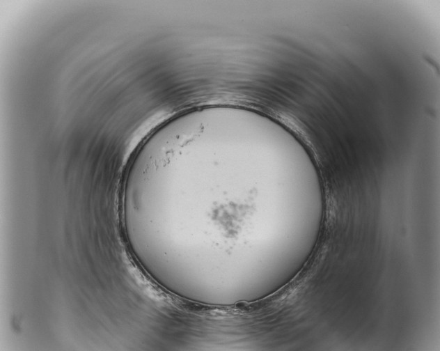 X0000100221138200806201502