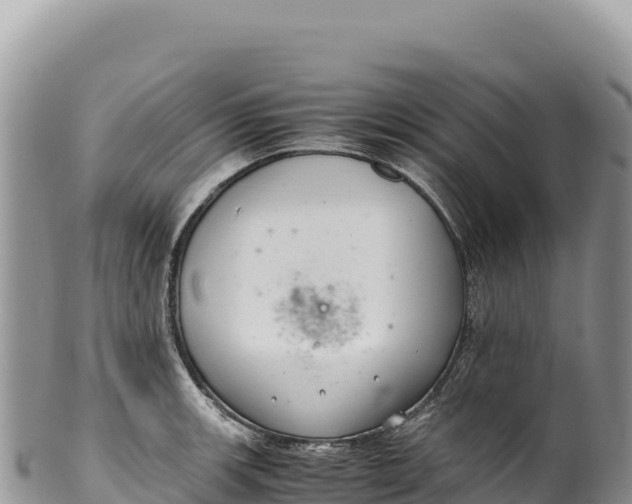 X0000100221139200806201502