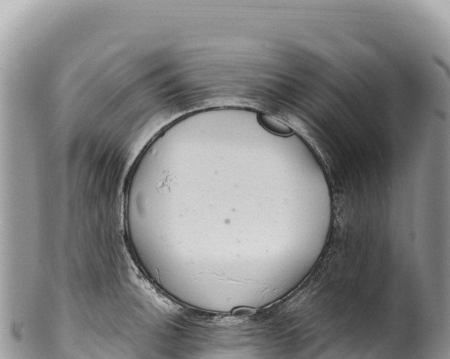 X0000100221140200806201502