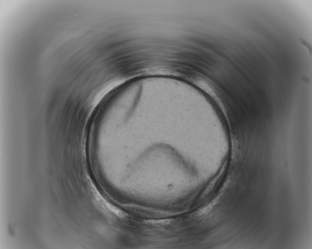 X0000100221141200806201502