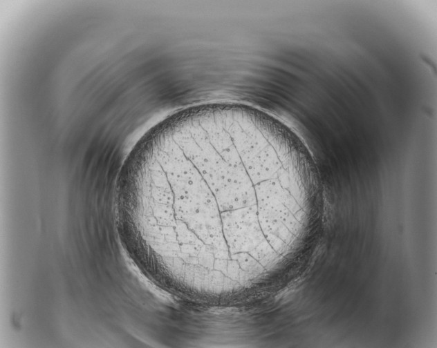 X0000100221142200806201502