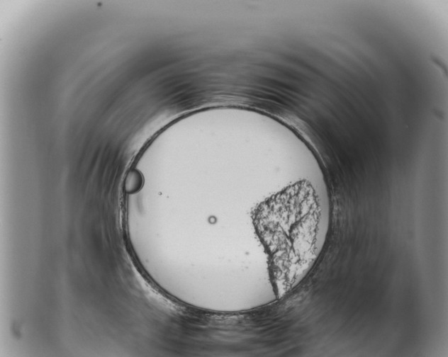 X0000100221143200806201502