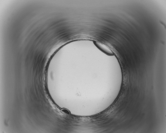 X0000100221144200806201502