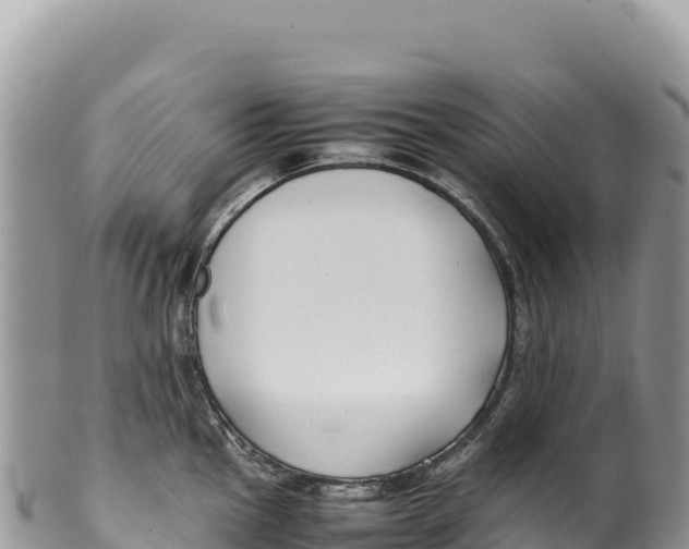 X0000100221145200806201502