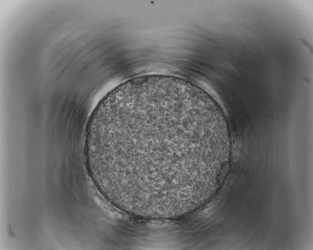 X0000100221146200806201502