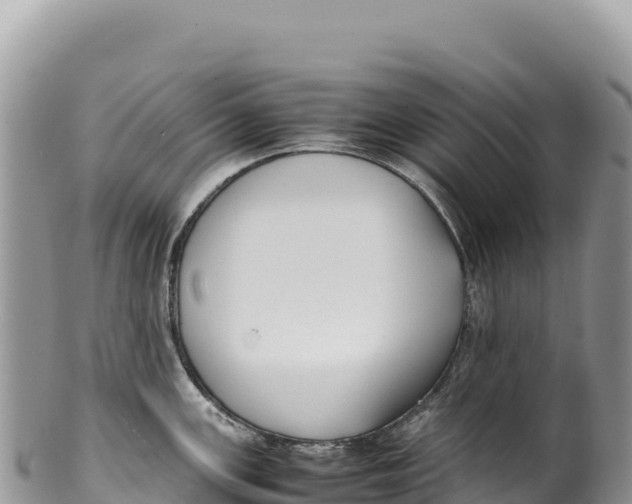 X0000100221147200806201502