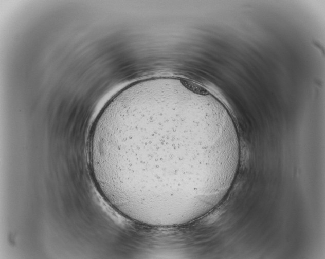 X0000100221148200806201502