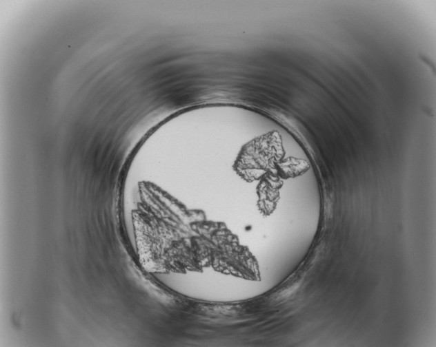 X0000100221149200806201502