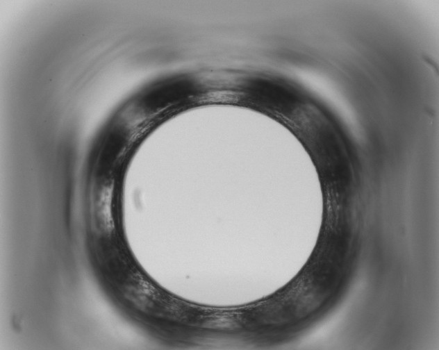 X0000100221150200806201502