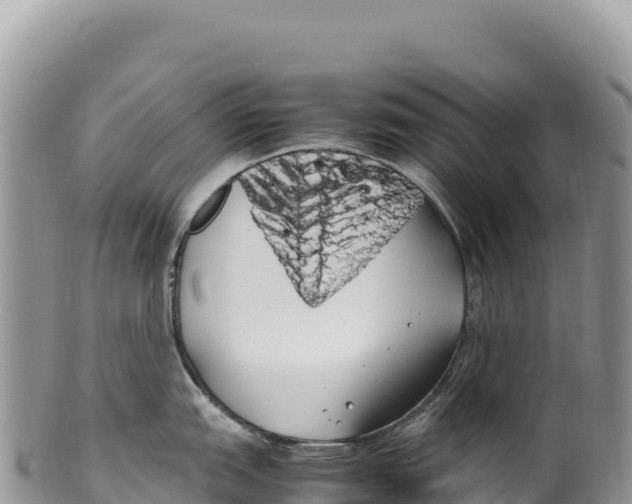 X0000100221151200806201502