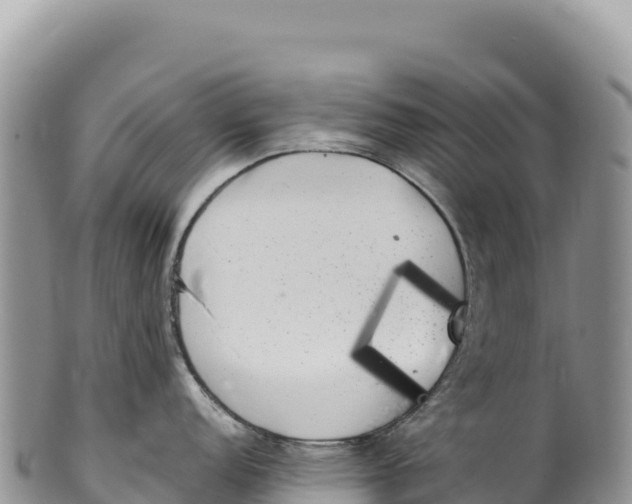 X0000100221152200806201502