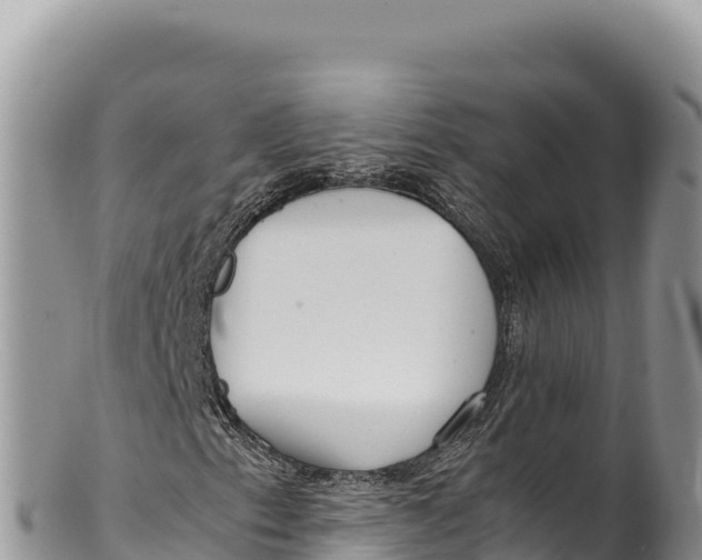 X0000100221153200806201501