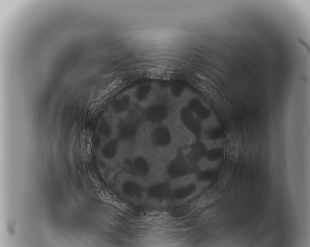 X0000100221154200806201501