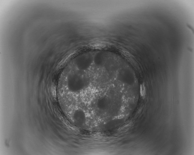 X0000100221155200806201501