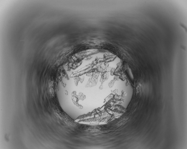 X0000100221156200806201501