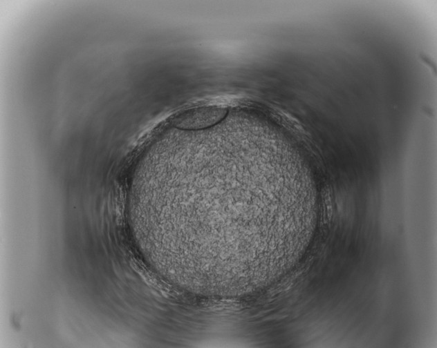 X0000100221158200806201501