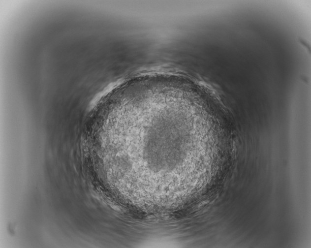 X0000100221159200806201501