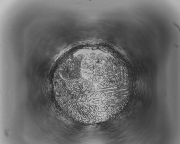 X0000100221160200806201501