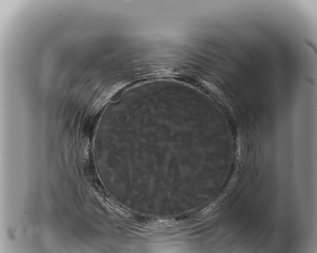 X0000100221161200806201501