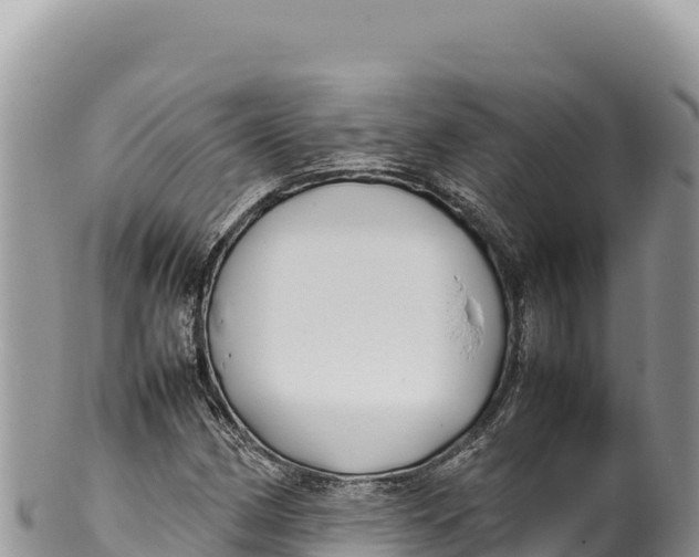 X0000100221162200806201501