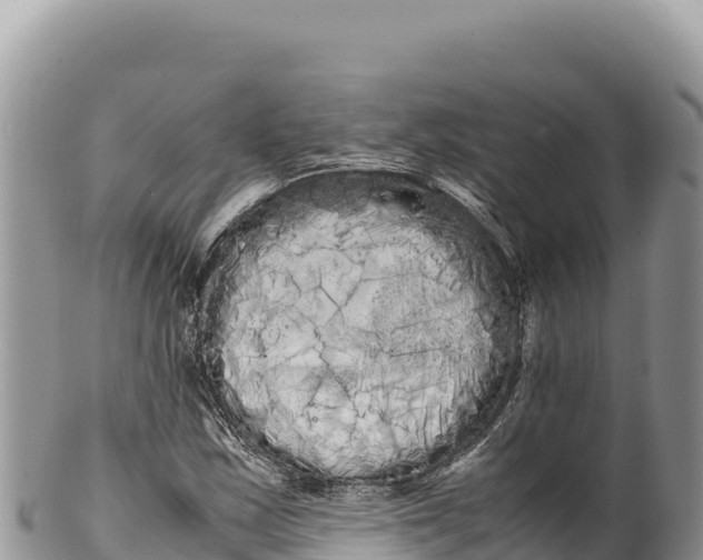 X0000100221163200806201501