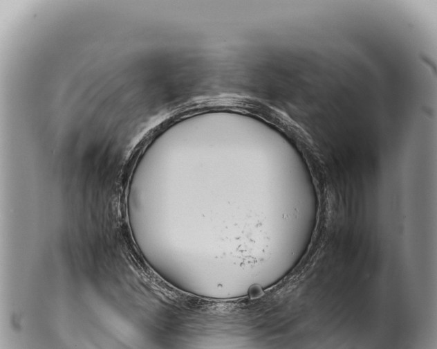 X0000100221166200806201501