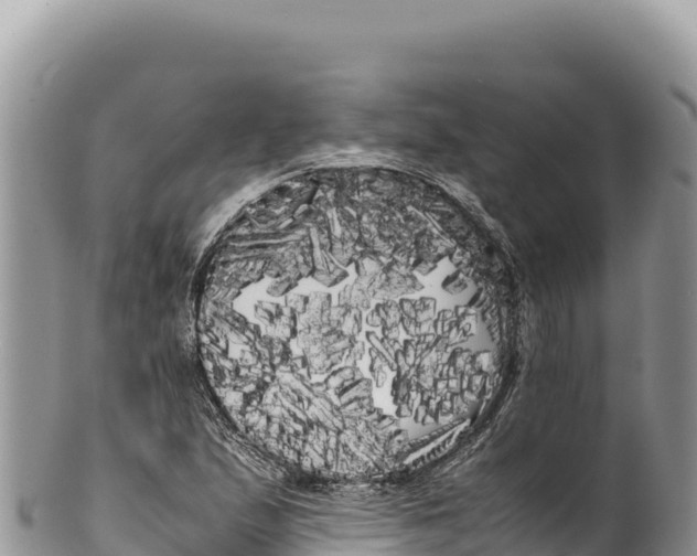 X0000100221167200806201501