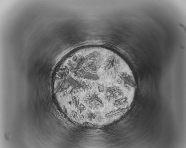 X0000100221168200806201501